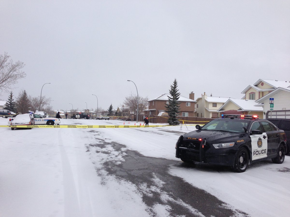 Police respond to NW community of Hawkwood for reports of gunfire.