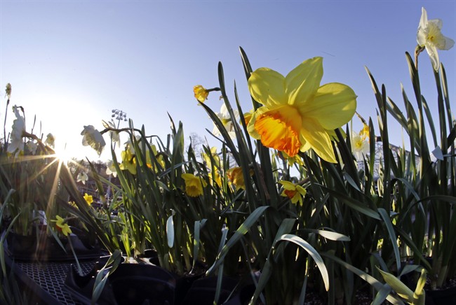 CancerConnection offers support to those experiencing cancer from people who have been there - image