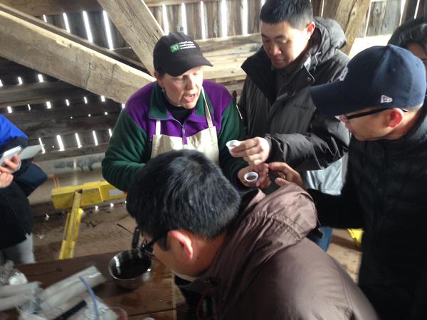 About 120 newcomers visited the sugar camp Friday morning.