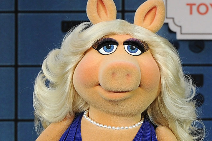 Miss Piggy, pictured in December 2014.