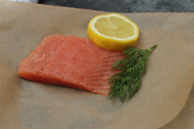 A seasonal salmon primer pink salmon