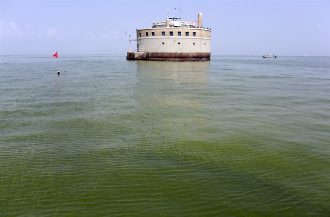 FILE - In this Aug. 3, 2014 file photo, the City of Toledo water intake crib is surrounded by algae in Lake Erie, about 2.5 miles off the shore of Curtice, Ohio.