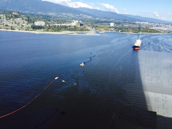 Authorities warn against shellfish and groundfish fishing in Burrard Inlet after oil spill - image