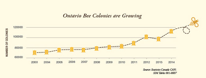 A screenshot from the BeesMatter website.