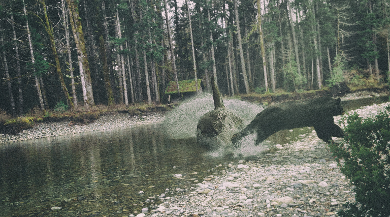 The Heart of Vancouver Island also launched their Come Get Lucky campaign with the new slogan ‘Come Get Lucky in the Alberni Valley.’