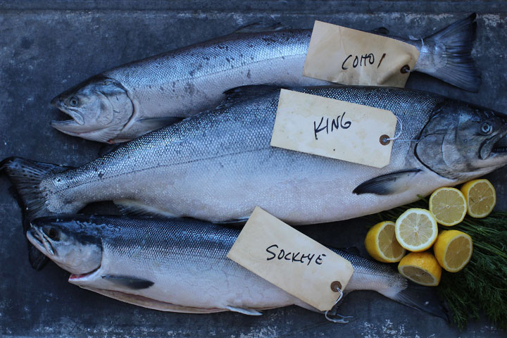 Primer: 5 Varieties Of Wild Alaskan Salmon – King, Sockeye, Coho, Keta ...