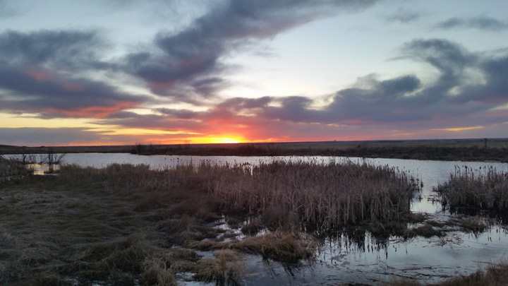April 19: This Your Saskatchewan photo was taken by Jerah Korol on Highway 41 just outside Saskatoon.