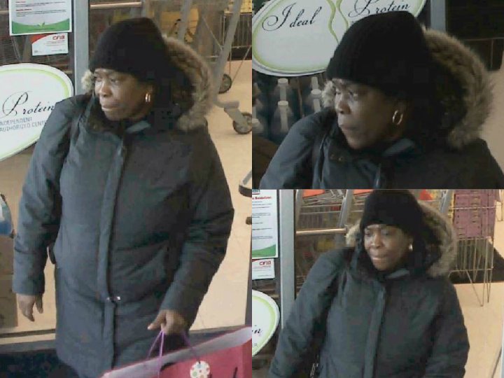 Police Seek Public Assistance In Identifying Woman Suspected Of