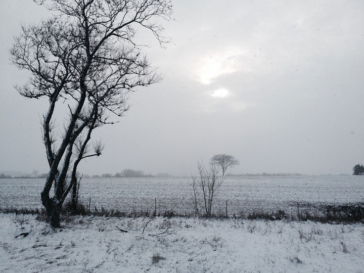 Snow is pictured on a field just south of Barrie, Ontario, on April 23, 2015.