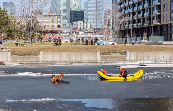 Photographer Jason Hughes captures dramatic rescue on the Lachine Canal in Griffintown. Sunday, April 12, 2015.