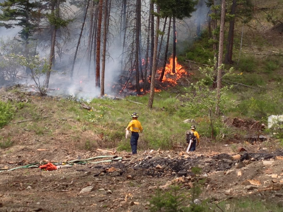 West Kelowna resident loses handle on controlled burn - image