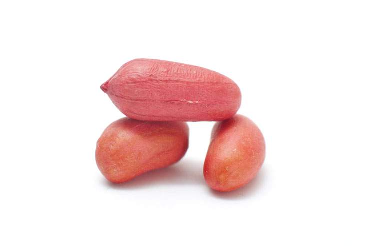 Peanuts isolated on white background