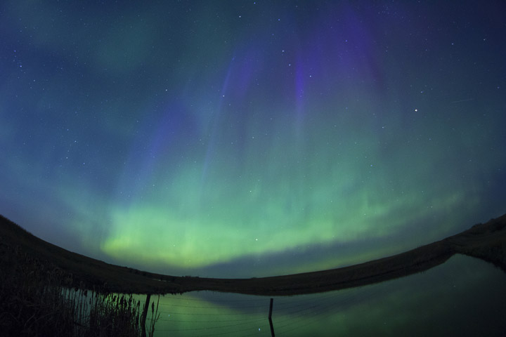 May 1: This Your Saskatchewan was taken by Jacqui Ferguson east of Saskatoon.