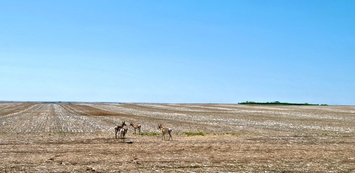 May 5: This Your Saskatchewan photo was taken by Ian Robertson south of Swift Current.