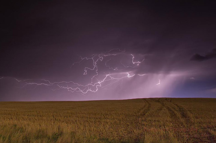 May 19: This Your Saskatchewan photo was taken by Craig Hilts near Regina.