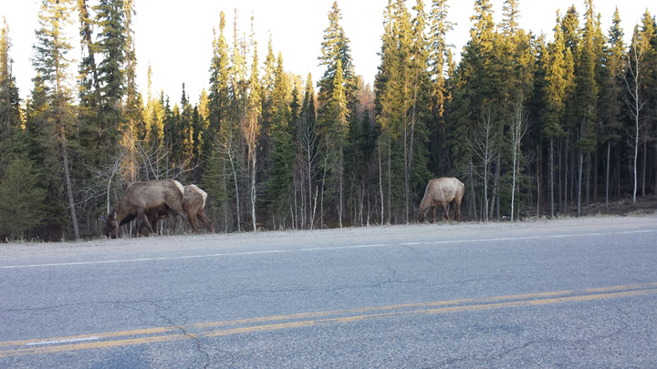 May 20: This Your Saskatchewan photo was taken by Eric Beck at Elkridge.