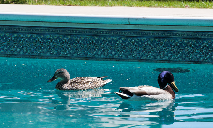 May 26: This Your Saskatchewan photo was taken by Richard Jackson in Saskatoon.