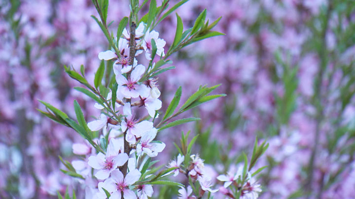 For many, spring also marks the beginning of allergy season in Saskatchewan but it doesn't mean those suffering the effects have to avoid the outdoors.