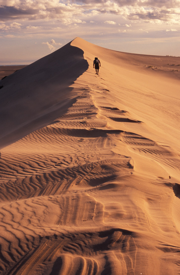 Athabasca Sand Dunes Provincial Wilderness Park. Photo used by permission from Tourism Saskatchewan.