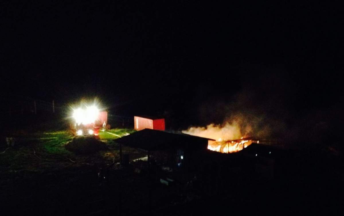 The cause is under investigation but officials say it does not appear to be suspicious.