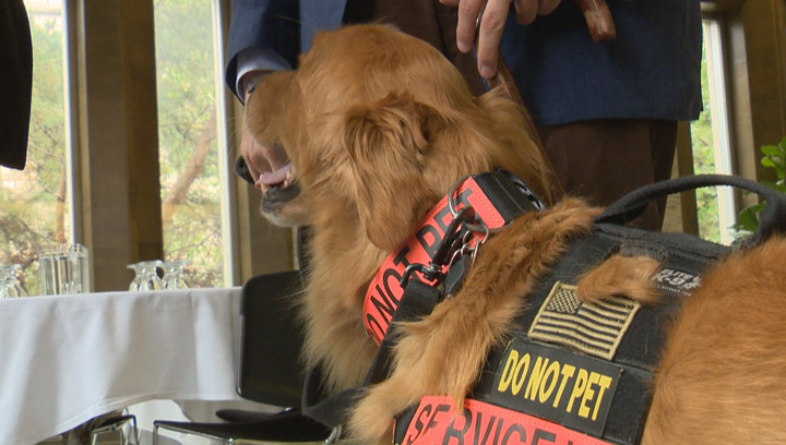 CNIB Saskatchewan kicks off a new campaign to educate people about the dangers of distracting working guide dogs.