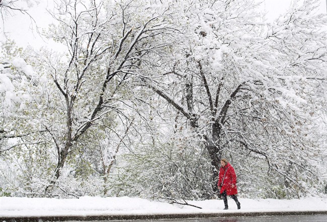 Frigid Temperatures Spark Extreme Cold Warning Across Much Of Alberta ...