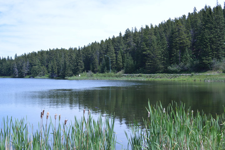 Cypress Hills Interprovincial Park