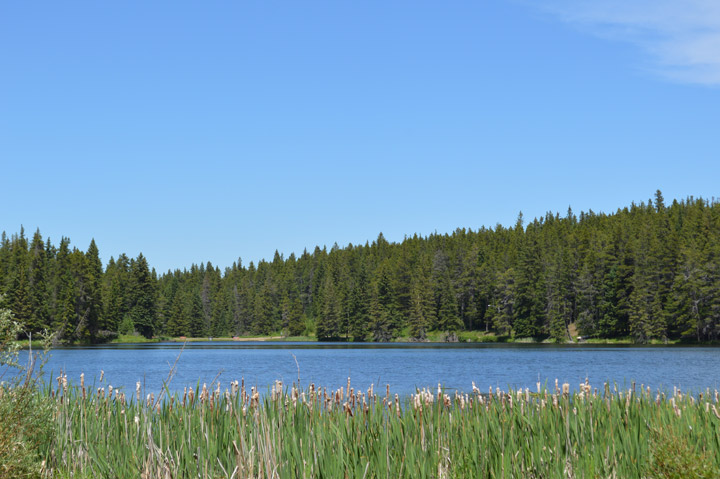 Cypress Hills Interprovincial Park