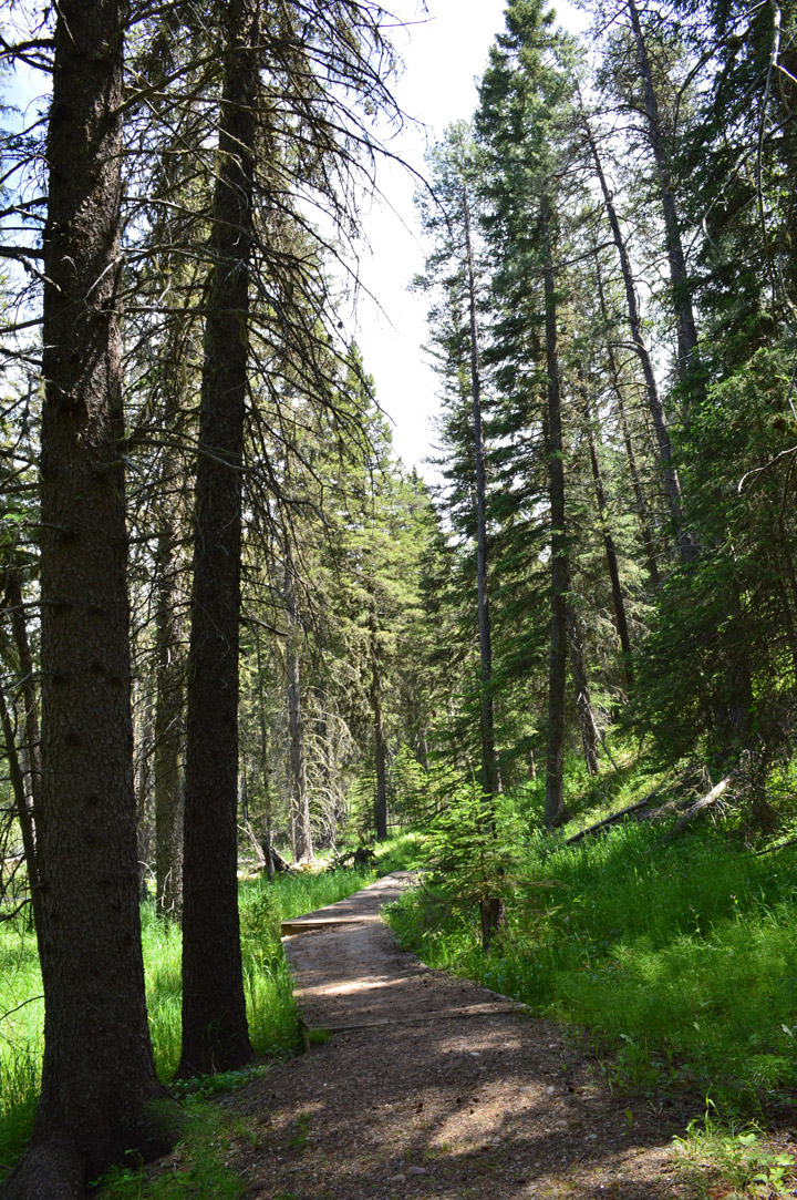 Cypress Hills Interprovincial Park