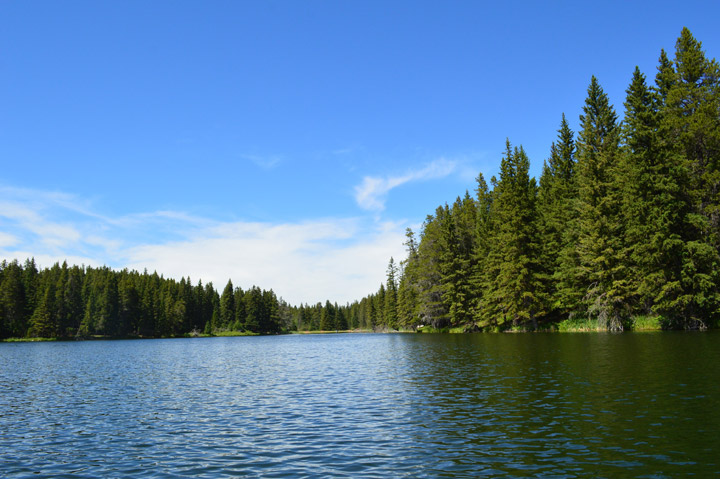 Cypress Hills Interprovincial Park