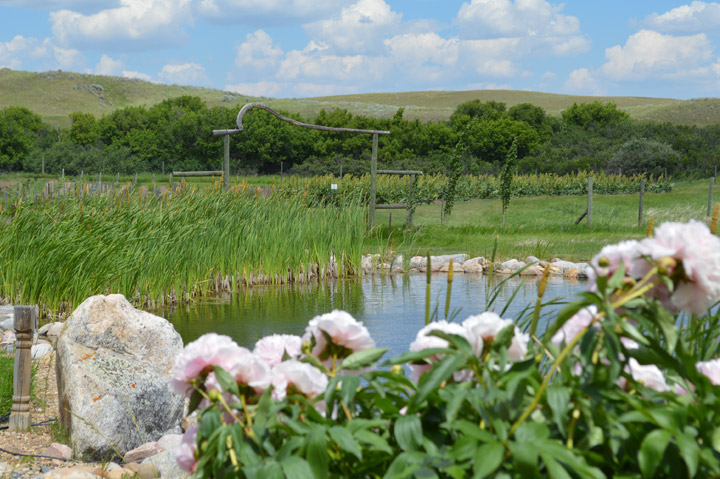 Cypress Hills Interprovincial Park