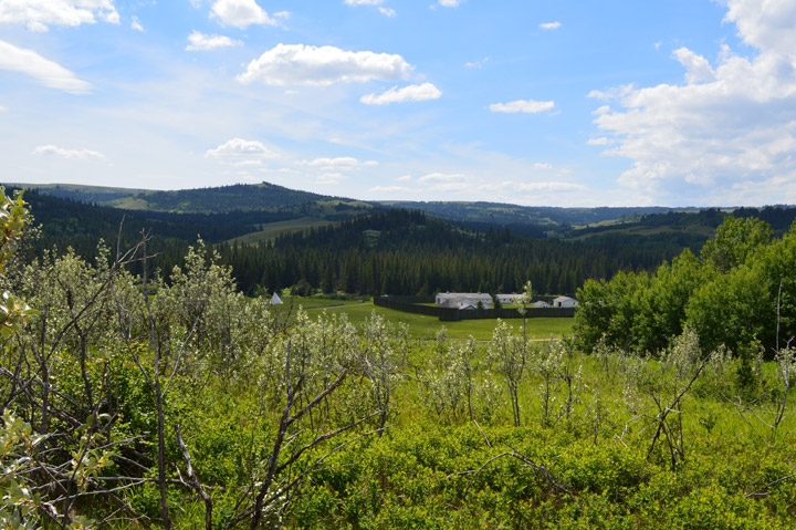 Cypress Hills Interprovincial Park