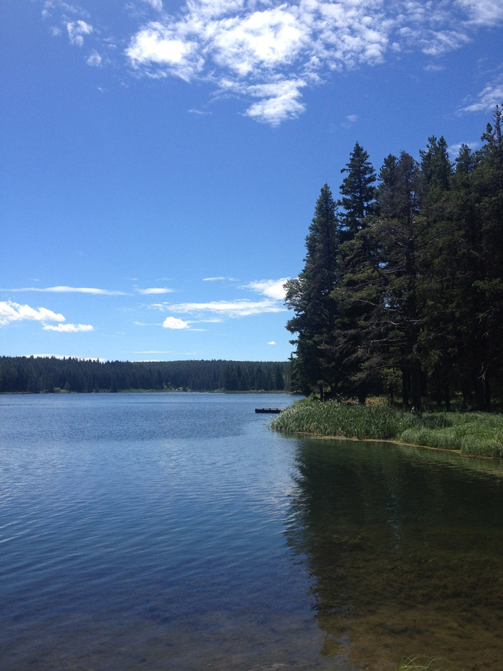 Cypress Hills Interprovincial Park