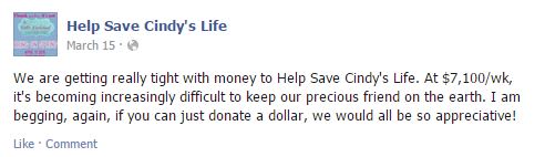 Ontario woman charged after ‘fabricated illness’ campaign nets more than $125,000 - image