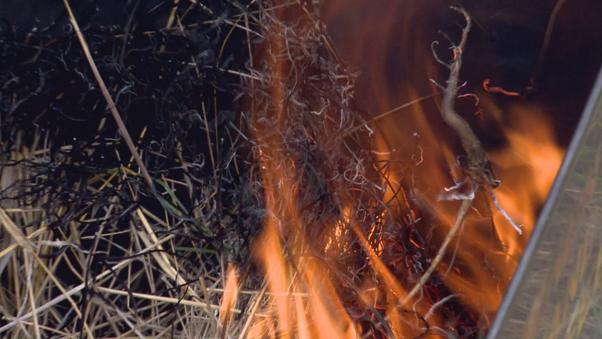Dry conditions increase fire risk - Lethbridge | Globalnews.ca