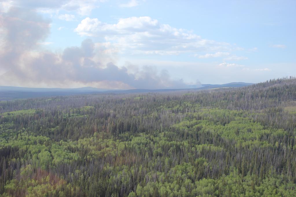 Wildfire burning northwest of Quesnel.