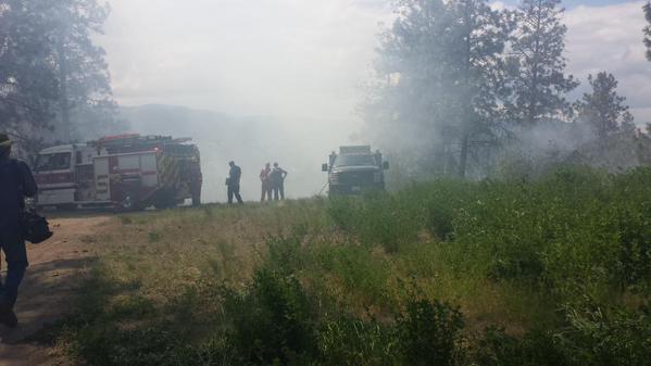 Grass fire in Lake Country believed to be human caused - image