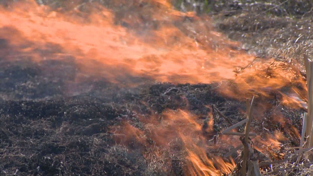 Hot temperatures, dry conditions means crews are battling wildfires across Saskatchewan.