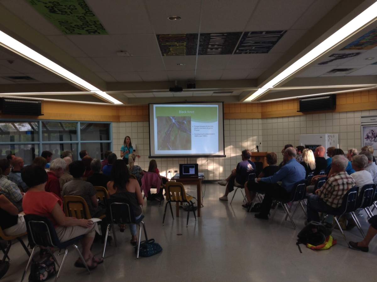 St. Vital residents are fed up of the dying and diseased trees on their properties.