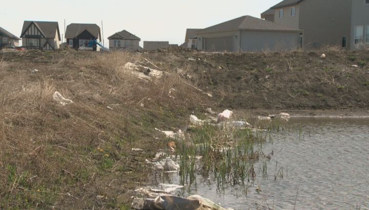 Garbage from an Edmonton construction site.