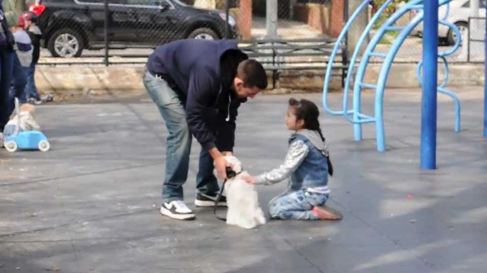 Social experiment child abductions