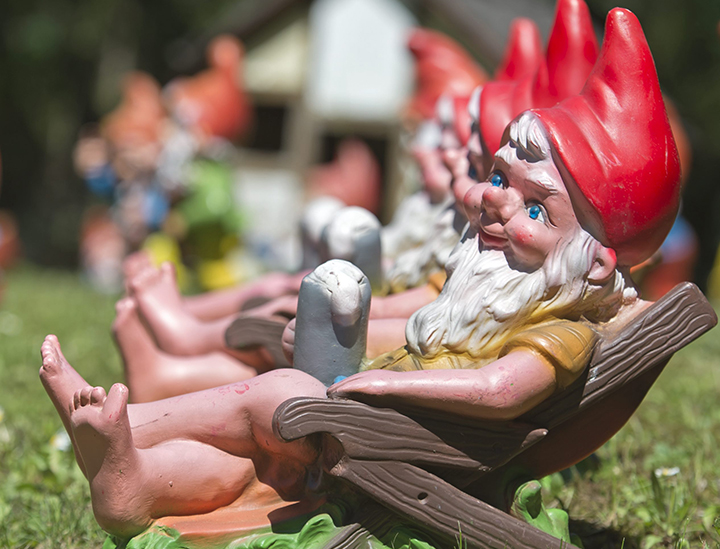 Gnomes