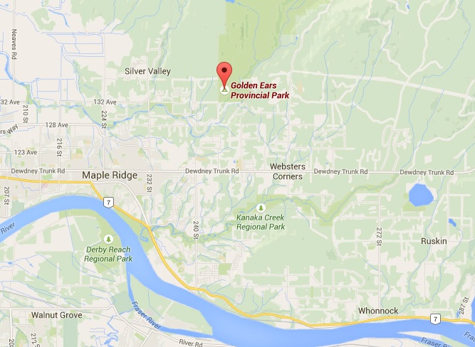 Woman left with serious head injury after fall in Golden Ears Provincial Park - image
