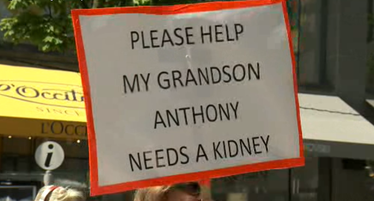The Charalambides family is hoping to find son Anthony a kidney donor.