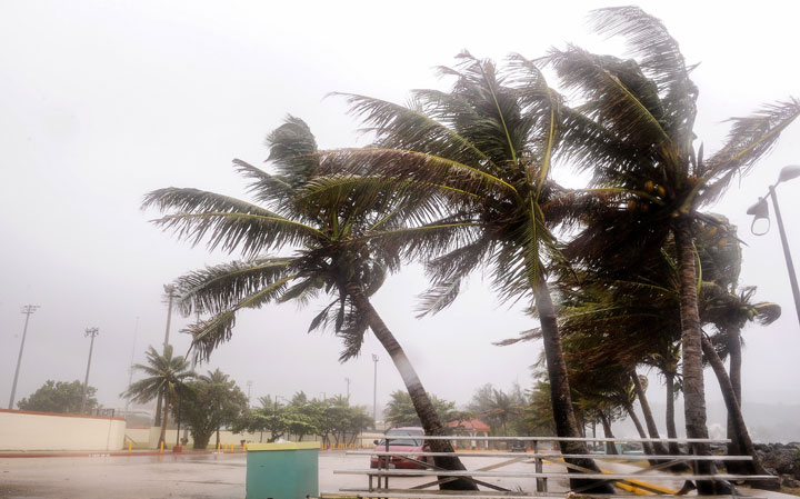 Trees bend and sway in the increasing winds at the Paseo during the approach of Typhoon Dolphin on Friday, May 15, 2015, in Hagatna, Guam. 