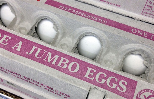 FILE - This Nov. 25, 2014, file photo, shows eggs for sale.