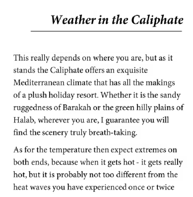 Summer with ISIS? Guidebook aims to attract visitors to Islamic State - image