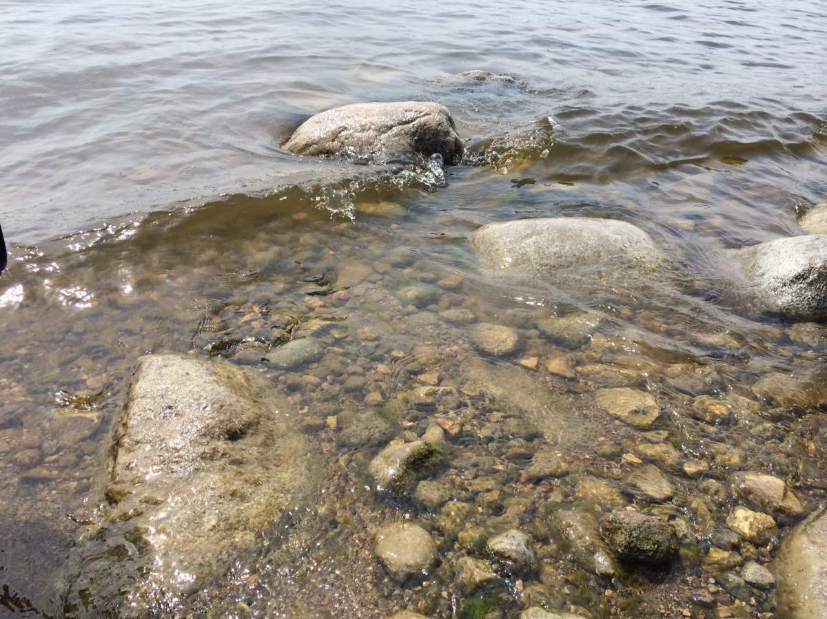 A partnership that aims to protect the water in the Qu'Appelle River System will be receiving the Calling Lakes Ecomuseum ‘Water Award’ worth $3.3 million.