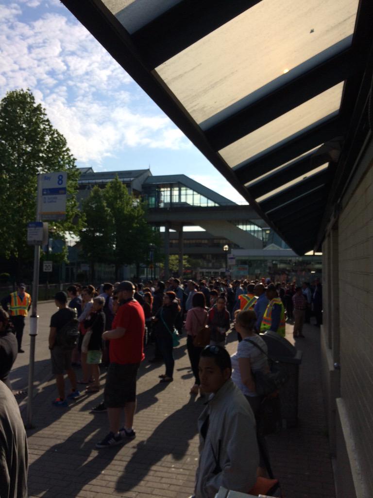 Credit: Sia Adjudani.