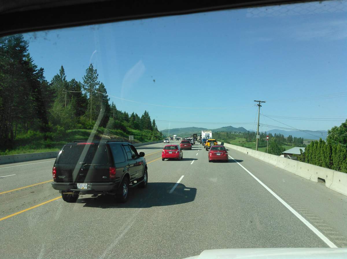 An alpaca on the loose causes spectacle on Okanagan highway - image